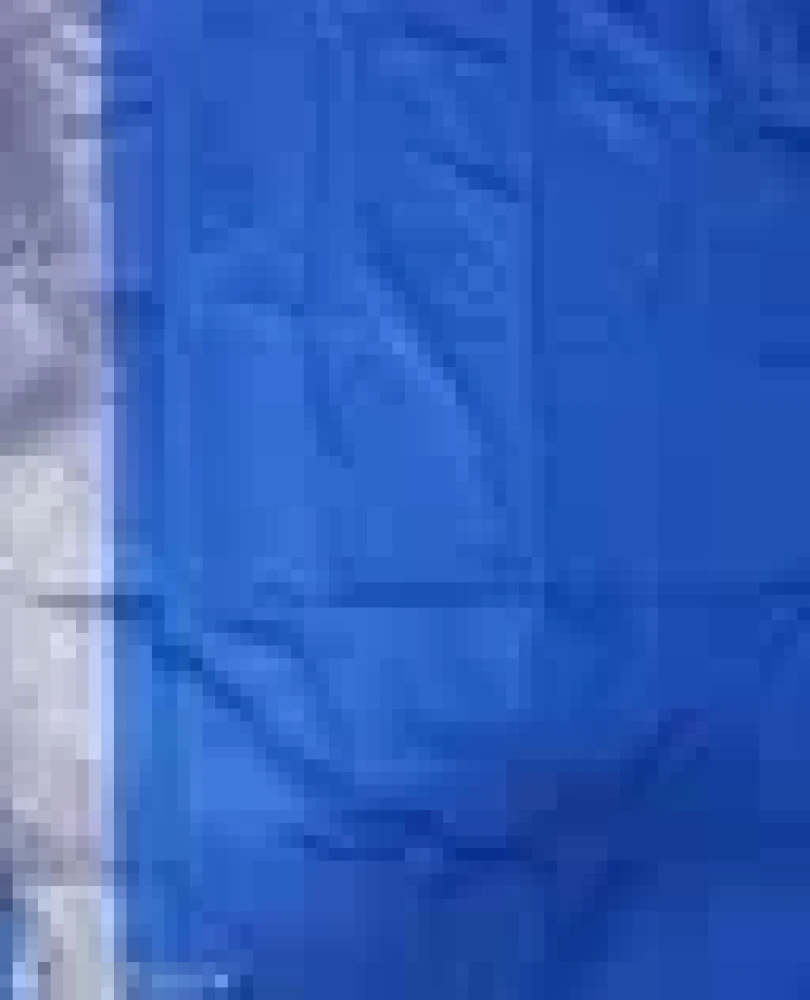 Banarasi Patola Silk Saree For Womens With Blouse Piece